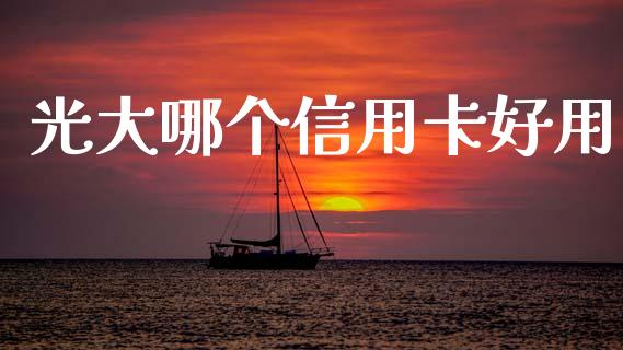 光大哪个信用卡好用_https://m.eyunqq.com_新股申购_第1张