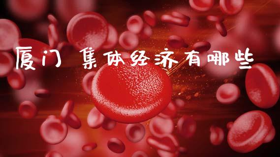 厦门 集体经济有哪些_https://m.eyunqq.com_期货投资学习_第1张