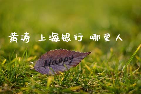 黄涛 上海银行 哪里人_https://m.eyunqq.com_基金交易_第1张