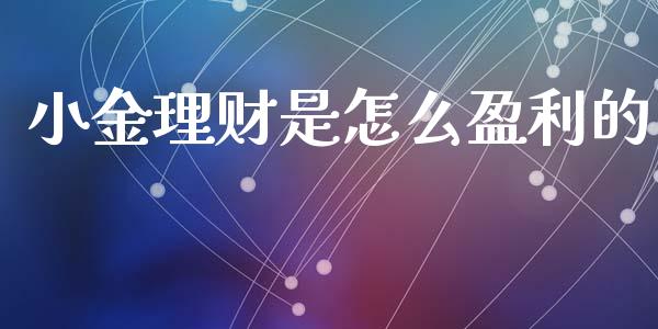 小金理财是怎么盈利的_https://m.eyunqq.com_基金交易_第1张