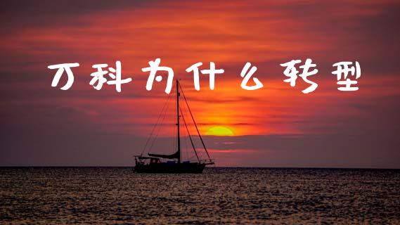 万科为什么转型_https://m.eyunqq.com_期货投资学习_第1张
