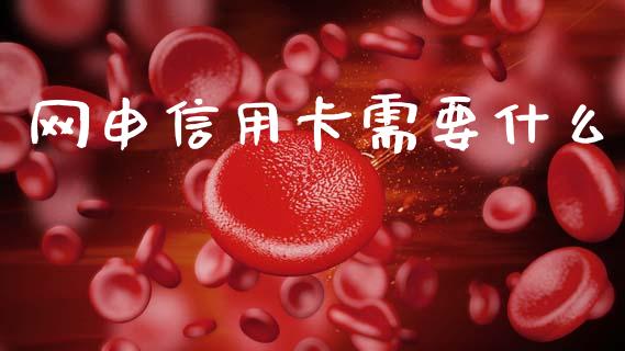 网申信用卡需要什么_https://m.eyunqq.com_基金交易_第1张