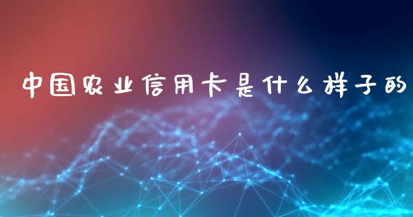 中国农业信用卡是什么样子的_https://m.eyunqq.com_基金交易_第1张