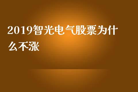 2019智光电气股票为什么不涨_https://m.eyunqq.com_基金交易_第1张