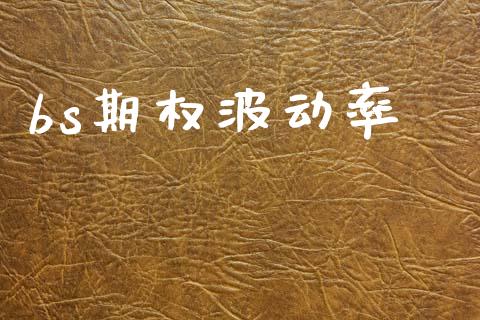 bs期权波动率_https://m.eyunqq.com_融资融券_第1张