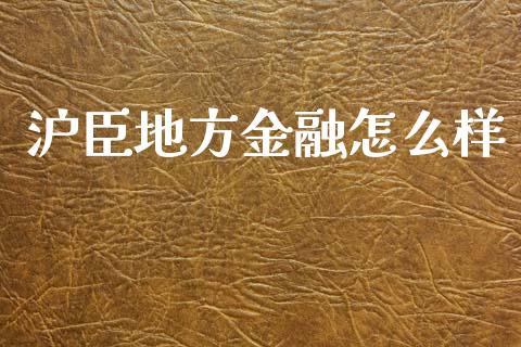 沪臣地方金融怎么样_https://m.eyunqq.com_新股申购_第1张