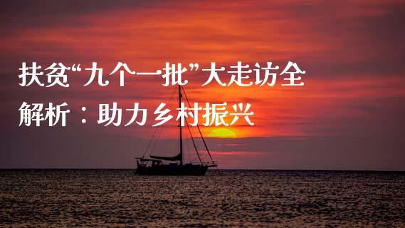 扶贫“九个一批”大走访全解析：助力乡村振兴_https://m.eyunqq.com_基金交易_第1张