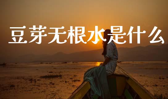 豆芽无根水是什么_https://m.eyunqq.com_期货投资学习_第1张