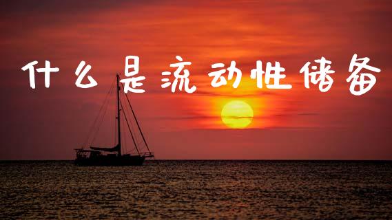 什么是流动性储备_https://m.eyunqq.com_融资融券_第1张