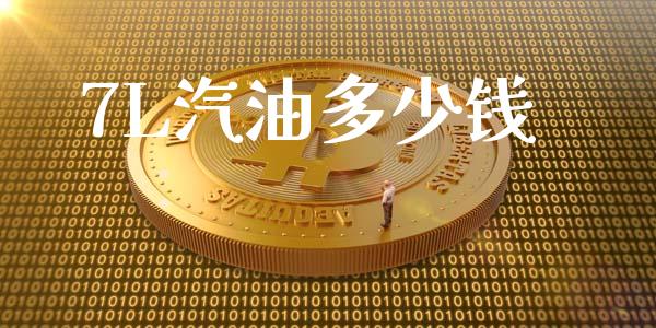 7L汽油多少钱_https://m.eyunqq.com_基金交易_第1张
