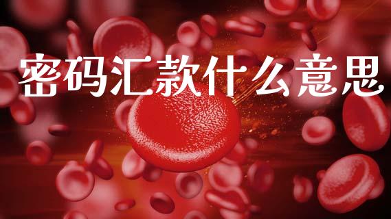 密码汇款什么意思_https://m.eyunqq.com_融资融券_第1张