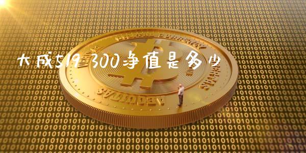 大成519 300净值是多少_https://m.eyunqq.com_新股申购_第1张