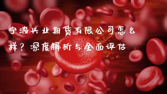 宁波兴业期货有限公司怎么样？深度解析与全面评估_https://m.eyunqq.com_新股申购_第1张