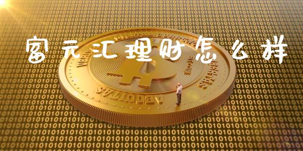 富元汇理财怎么样_https://m.eyunqq.com_基金交易_第1张