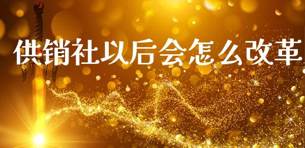 供销社以后会怎么改革_https://m.eyunqq.com_新股申购_第1张