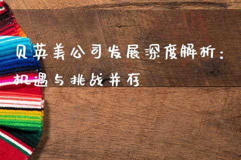 贝英美公司发展深度解析：机遇与挑战并存_https://m.eyunqq.com_融资融券_第1张