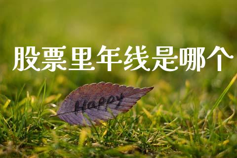 股票里年线是哪个_https://m.eyunqq.com_期货投资学习_第1张