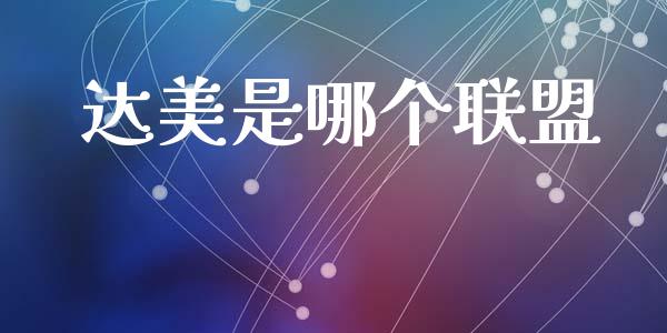 达美是哪个联盟_https://m.eyunqq.com_基金交易_第1张