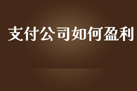支付公司如何盈利_https://m.eyunqq.com_新股申购_第1张