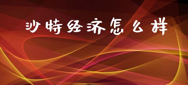 沙特经济怎么样_https://m.eyunqq.com_融资融券_第1张