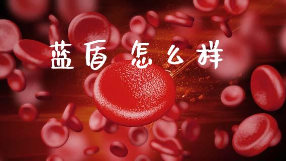 蓝盾 怎么样_https://m.eyunqq.com_新股申购_第1张