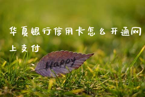 华夏银行信用卡怎么开通网上支付_https://m.eyunqq.com_融资融券_第1张
