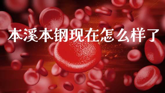 本溪本钢现在怎么样了_https://m.eyunqq.com_基金交易_第1张