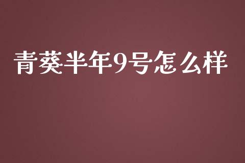 青葵半年9号怎么样_https://m.eyunqq.com_基金交易_第1张