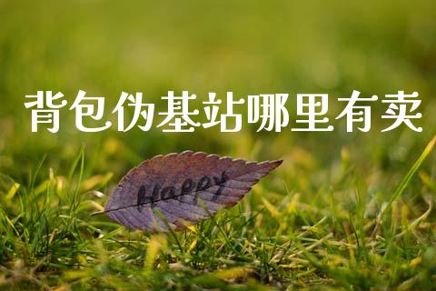 背包伪基站哪里有卖_https://m.eyunqq.com_融资融券_第1张