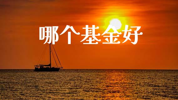 哪个基金好_https://m.eyunqq.com_期货投资学习_第1张