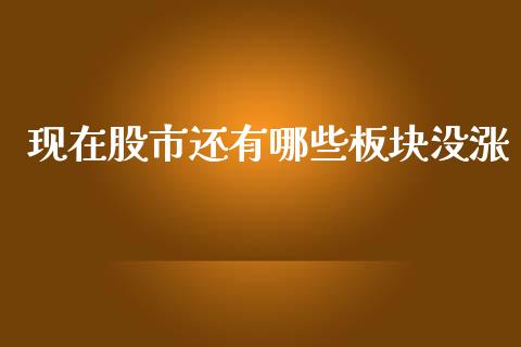 现在股市还有哪些板块没涨_https://m.eyunqq.com_新股申购_第1张