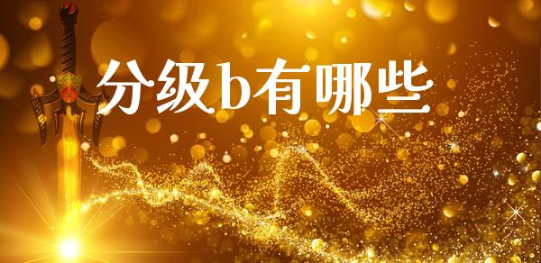 分级b有哪些_https://m.eyunqq.com_新股申购_第1张