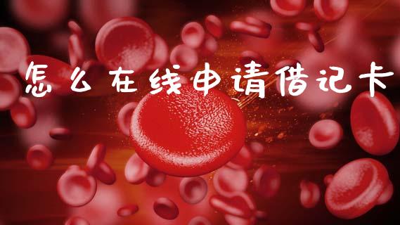 怎么在线申请借记卡_https://m.eyunqq.com_融资融券_第1张