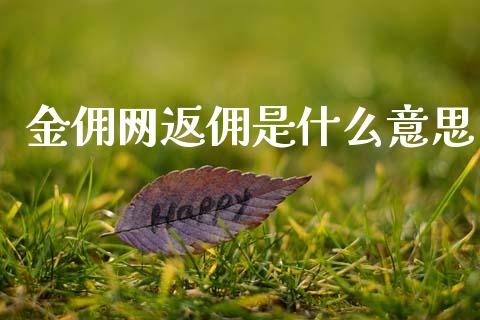 金佣网返佣是什么意思_https://m.eyunqq.com_融资融券_第1张