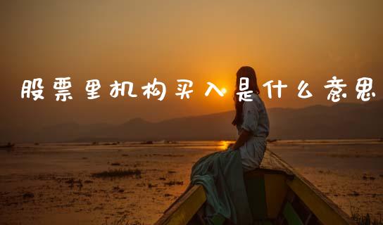 股票里机构买入是什么意思_https://m.eyunqq.com_融资融券_第1张