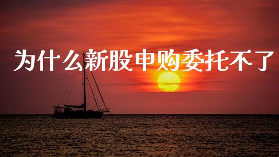 为什么新股申购委托不了_https://m.eyunqq.com_新股申购_第1张