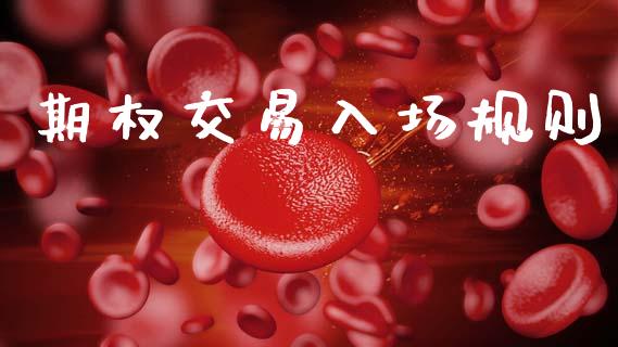 期权交易入场规则_https://m.eyunqq.com_新股申购_第1张