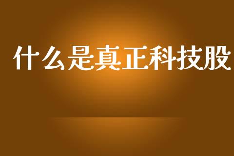什么是真正科技股_https://m.eyunqq.com_基金交易_第1张