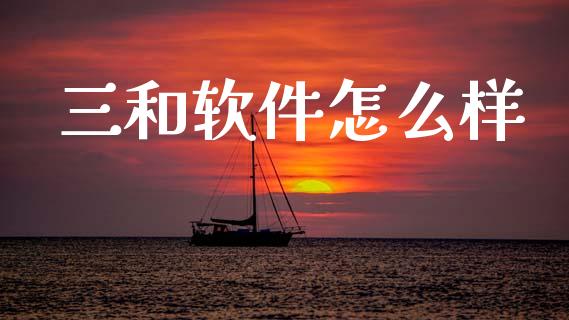三和软件怎么样_https://m.eyunqq.com_融资融券_第1张