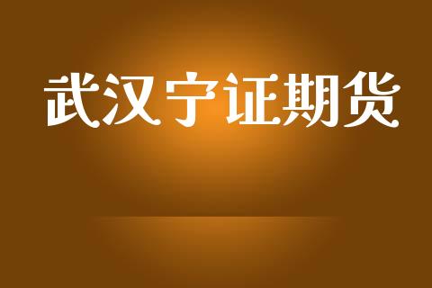 武汉宁证期货_https://m.eyunqq.com_融资融券_第1张