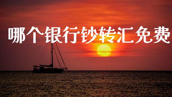 哪个银行钞转汇免费_https://m.eyunqq.com_融资融券_第1张