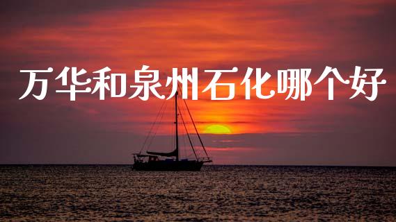 万华和泉州石化哪个好_https://m.eyunqq.com_融资融券_第1张