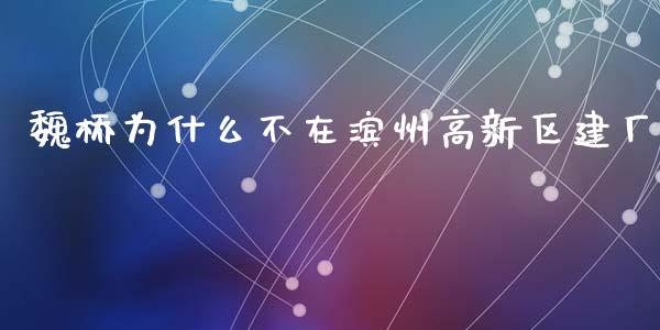魏桥为什么不在滨州高新区建厂_https://m.eyunqq.com_新股申购_第1张