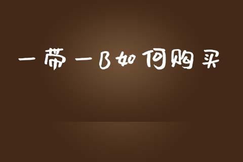 一带一B如何购买_https://m.eyunqq.com_新股申购_第1张
