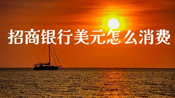 招商银行美元怎么消费_https://m.eyunqq.com_融资融券_第1张