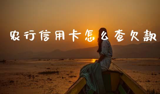 农行信用卡怎么查欠款_https://m.eyunqq.com_融资融券_第1张