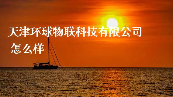天津环球物联科技有限公司 怎么样_https://m.eyunqq.com_期货投资学习_第1张