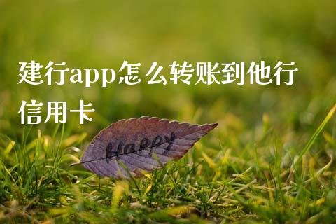 建行app怎么转账到他行信用卡_https://m.eyunqq.com_融资融券_第1张