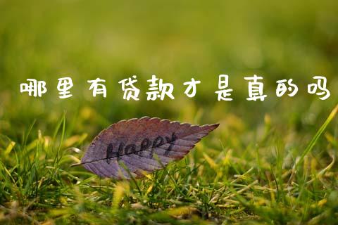 哪里有贷款才是真的吗_https://m.eyunqq.com_融资融券_第1张