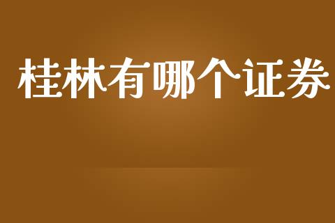桂林有哪个证券_https://m.eyunqq.com_融资融券_第1张